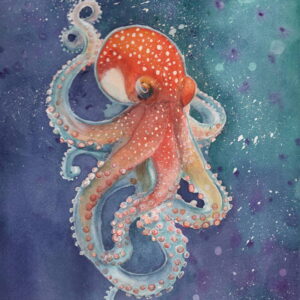 OCTOPUS